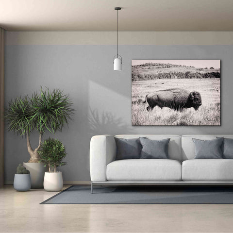 Image of 'Buffalo I BW' by Debra Van Swearingen, Canvas Wall Art,54 x 40