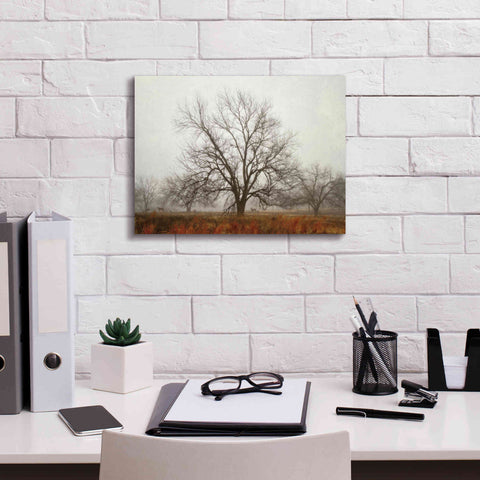 Image of 'Morning Calm I' by Debra Van Swearingen, Canvas Wall Art,16 x 12