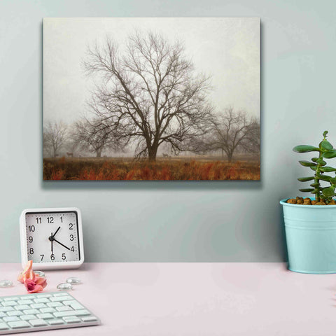 Image of 'Morning Calm I' by Debra Van Swearingen, Canvas Wall Art,16 x 12