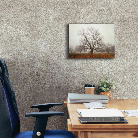 Image of 'Morning Calm I' by Debra Van Swearingen, Canvas Wall Art,16 x 12