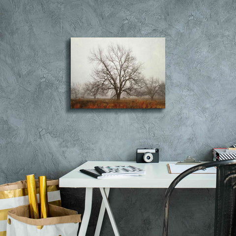 Image of 'Morning Calm I' by Debra Van Swearingen, Canvas Wall Art,16 x 12