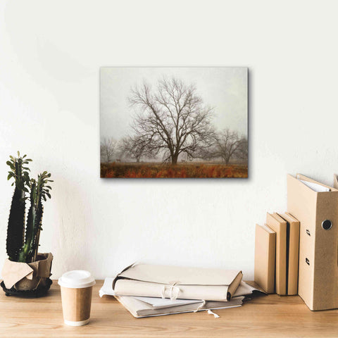 Image of 'Morning Calm I' by Debra Van Swearingen, Canvas Wall Art,16 x 12