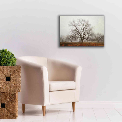 Image of 'Morning Calm I' by Debra Van Swearingen, Canvas Wall Art,26 x 18