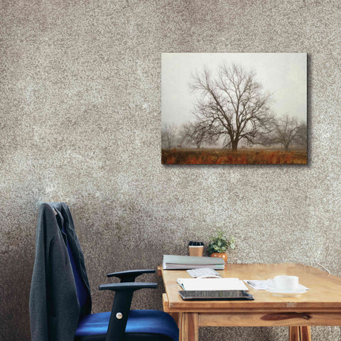 Image of 'Morning Calm I' by Debra Van Swearingen, Canvas Wall Art,34 x 26