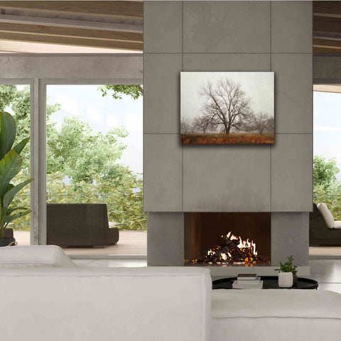 Image of 'Morning Calm I' by Debra Van Swearingen, Canvas Wall Art,34 x 26