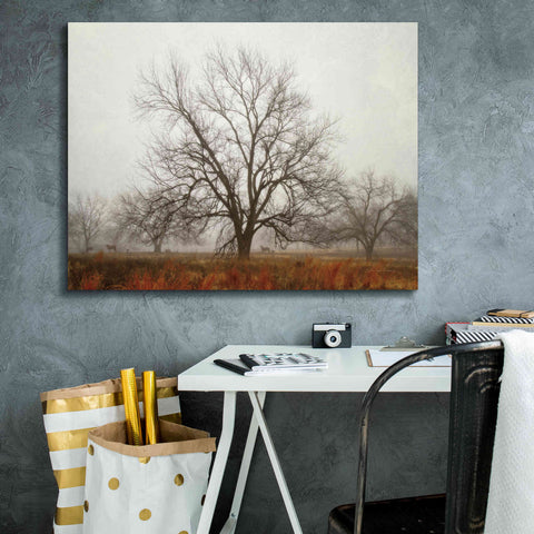 Image of 'Morning Calm I' by Debra Van Swearingen, Canvas Wall Art,34 x 26