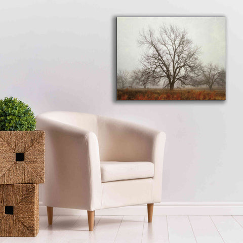 Image of 'Morning Calm I' by Debra Van Swearingen, Canvas Wall Art,34 x 26