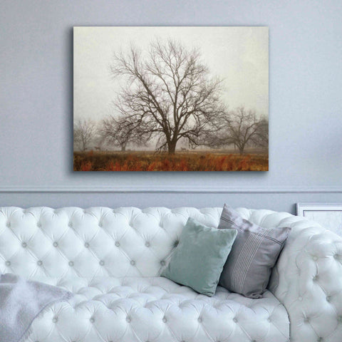 Image of 'Morning Calm I' by Debra Van Swearingen, Canvas Wall Art,54 x 40