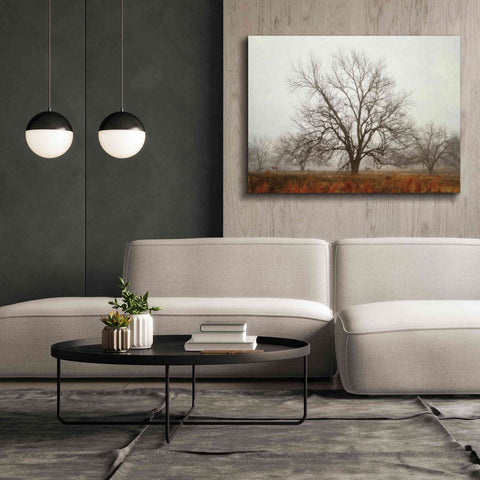 Image of 'Morning Calm I' by Debra Van Swearingen, Canvas Wall Art,54 x 40
