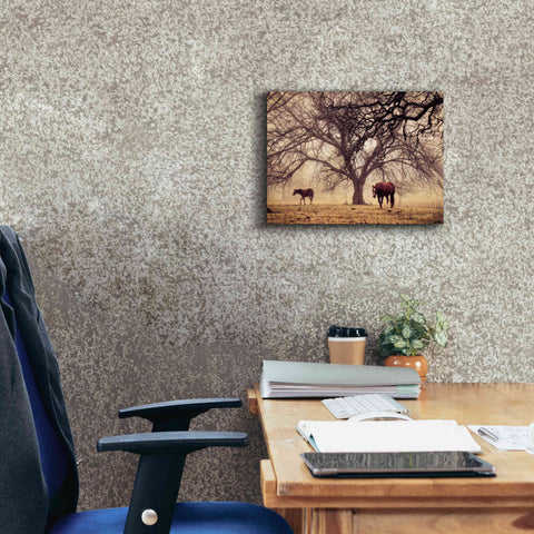 Image of 'Morning Calm II' by Debra Van Swearingen, Canvas Wall Art,16 x 12