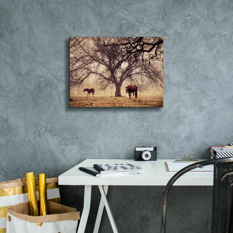 Image of 'Morning Calm II' by Debra Van Swearingen, Canvas Wall Art,16 x 12