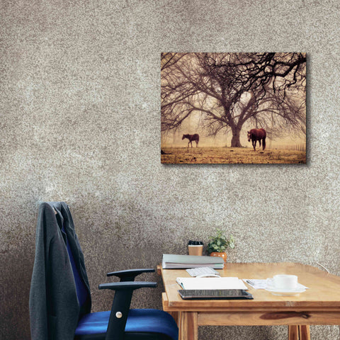 Image of 'Morning Calm II' by Debra Van Swearingen, Canvas Wall Art,34 x 26