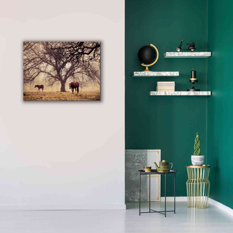 Image of 'Morning Calm II' by Debra Van Swearingen, Canvas Wall Art,34 x 26
