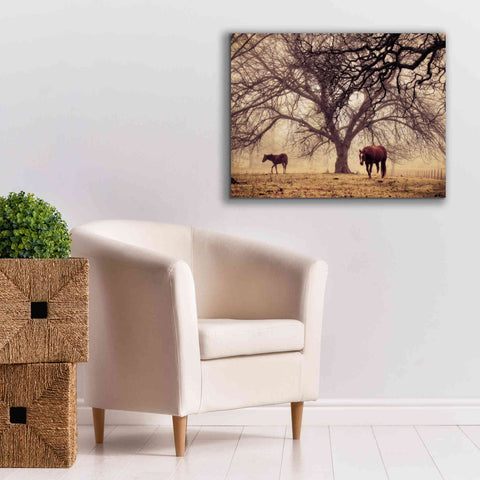 Image of 'Morning Calm II' by Debra Van Swearingen, Canvas Wall Art,34 x 26