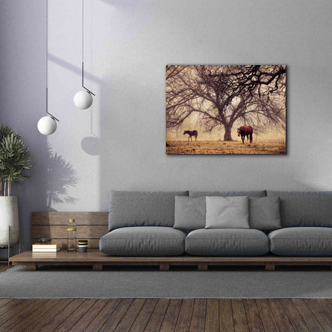 Image of 'Morning Calm II' by Debra Van Swearingen, Canvas Wall Art,54 x 40