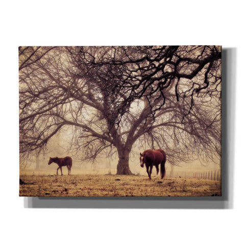 Image of 'Morning Calm II' by Debra Van Swearingen, Canvas Wall Art,16x12x1.1x0,26x18x1.1x0,34x26x1.74x0,54x40x1.74x0
