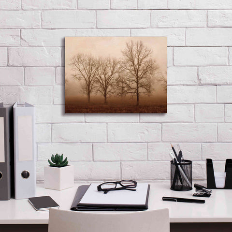 Image of 'Morning Calm III' by Debra Van Swearingen, Canvas Wall Art,16 x 12