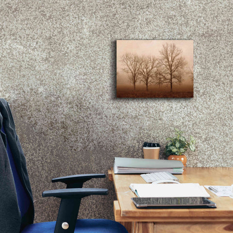 Image of 'Morning Calm III' by Debra Van Swearingen, Canvas Wall Art,16 x 12