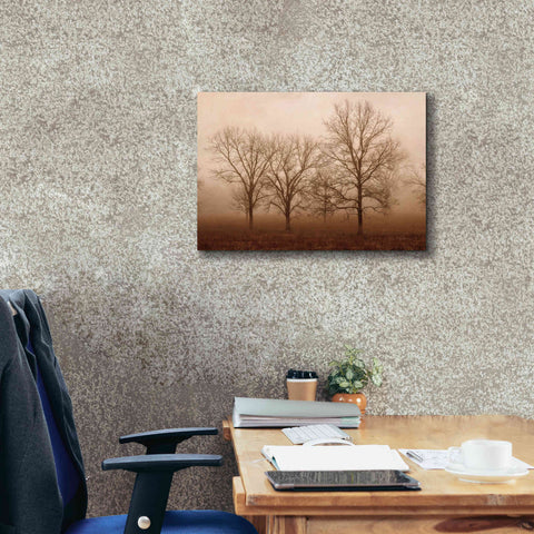 Image of 'Morning Calm III' by Debra Van Swearingen, Canvas Wall Art,26 x 18