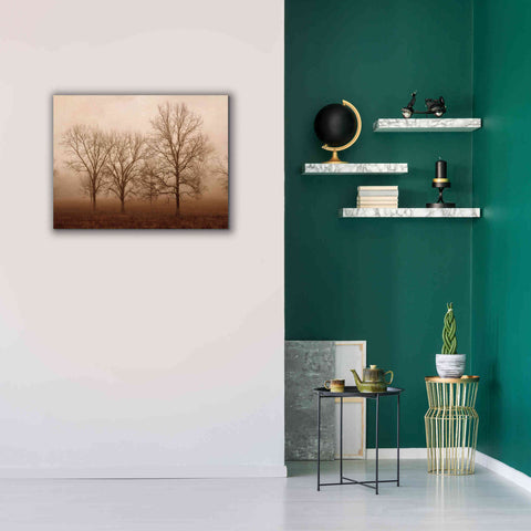 Image of 'Morning Calm III' by Debra Van Swearingen, Canvas Wall Art,34 x 26