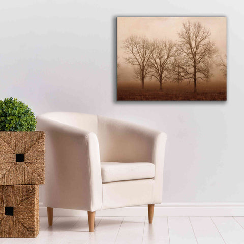 Image of 'Morning Calm III' by Debra Van Swearingen, Canvas Wall Art,34 x 26