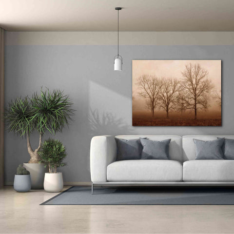 Image of 'Morning Calm III' by Debra Van Swearingen, Canvas Wall Art,54 x 40