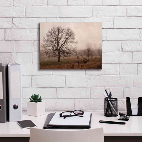 Image of 'Morning Calm IV' by Debra Van Swearingen, Canvas Wall Art,16 x 12