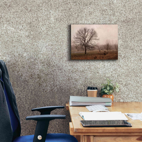 Image of 'Morning Calm IV' by Debra Van Swearingen, Canvas Wall Art,16 x 12