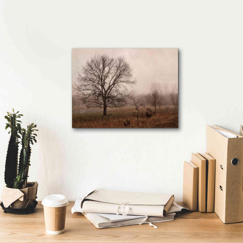 Image of 'Morning Calm IV' by Debra Van Swearingen, Canvas Wall Art,16 x 12