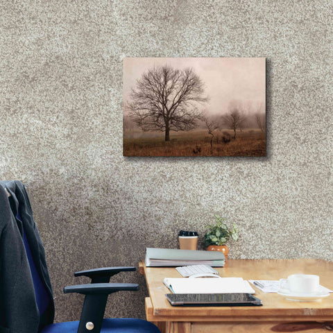 Image of 'Morning Calm IV' by Debra Van Swearingen, Canvas Wall Art,26 x 18