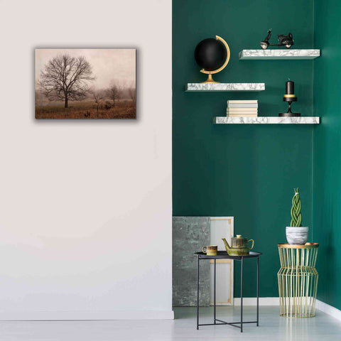 Image of 'Morning Calm IV' by Debra Van Swearingen, Canvas Wall Art,26 x 18