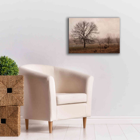 Image of 'Morning Calm IV' by Debra Van Swearingen, Canvas Wall Art,26 x 18