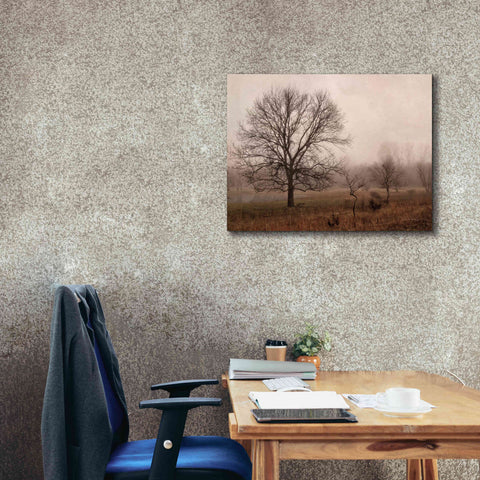 Image of 'Morning Calm IV' by Debra Van Swearingen, Canvas Wall Art,34 x 26