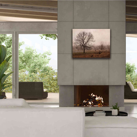 Image of 'Morning Calm IV' by Debra Van Swearingen, Canvas Wall Art,34 x 26