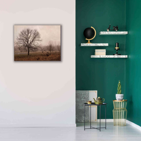 Image of 'Morning Calm IV' by Debra Van Swearingen, Canvas Wall Art,34 x 26