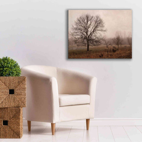 Image of 'Morning Calm IV' by Debra Van Swearingen, Canvas Wall Art,34 x 26