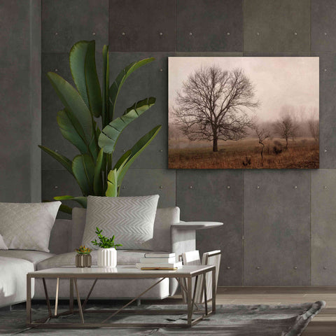 Image of 'Morning Calm IV' by Debra Van Swearingen, Canvas Wall Art,54 x 40