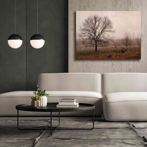 Image of 'Morning Calm IV' by Debra Van Swearingen, Canvas Wall Art,54 x 40