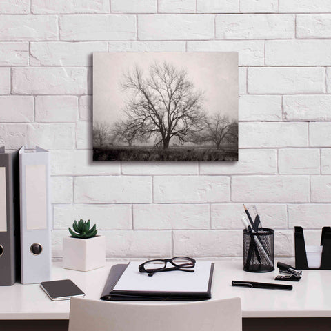 Image of 'Morning Calm I BW' by Debra Van Swearingen, Canvas Wall Art,16 x 12