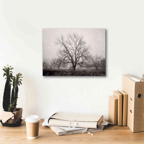 Image of 'Morning Calm I BW' by Debra Van Swearingen, Canvas Wall Art,16 x 12