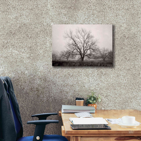 Image of 'Morning Calm I BW' by Debra Van Swearingen, Canvas Wall Art,26 x 18