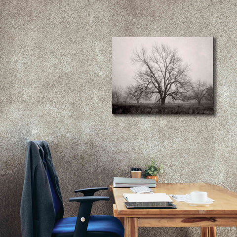 Image of 'Morning Calm I BW' by Debra Van Swearingen, Canvas Wall Art,34 x 26