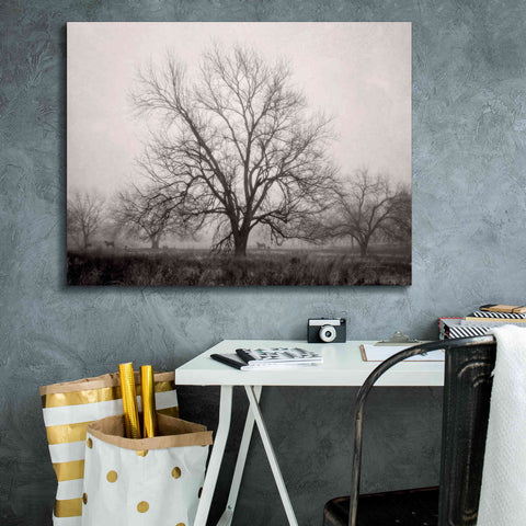 Image of 'Morning Calm I BW' by Debra Van Swearingen, Canvas Wall Art,34 x 26