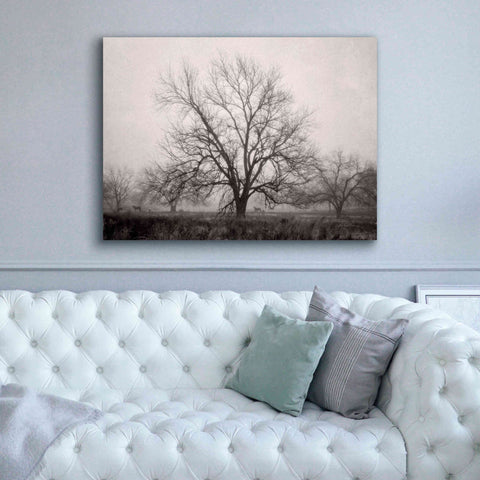 Image of 'Morning Calm I BW' by Debra Van Swearingen, Canvas Wall Art,54 x 40