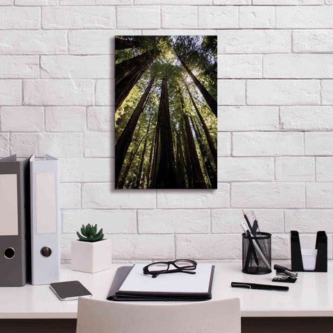 Image of 'The Stand' by Debra Van Swearingen, Canvas Wall Art,12 x 18