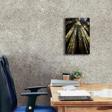 Image of 'The Stand' by Debra Van Swearingen, Canvas Wall Art,12 x 18
