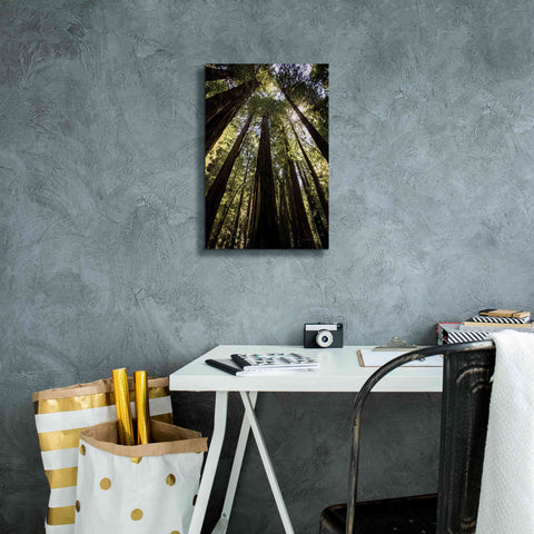Image of 'The Stand' by Debra Van Swearingen, Canvas Wall Art,12 x 18