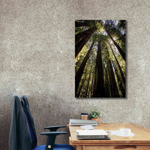 Image of 'The Stand' by Debra Van Swearingen, Canvas Wall Art,26 x 40