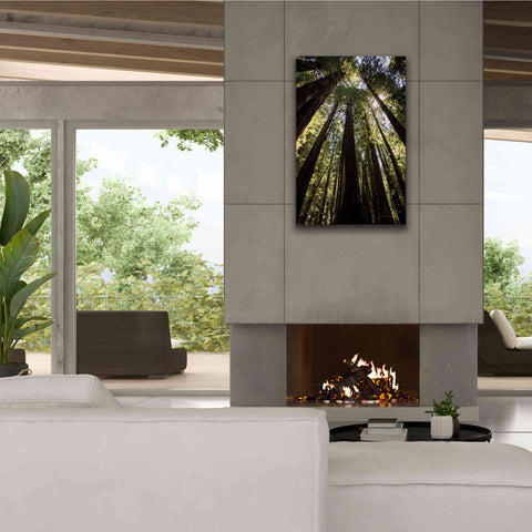 Image of 'The Stand' by Debra Van Swearingen, Canvas Wall Art,26 x 40