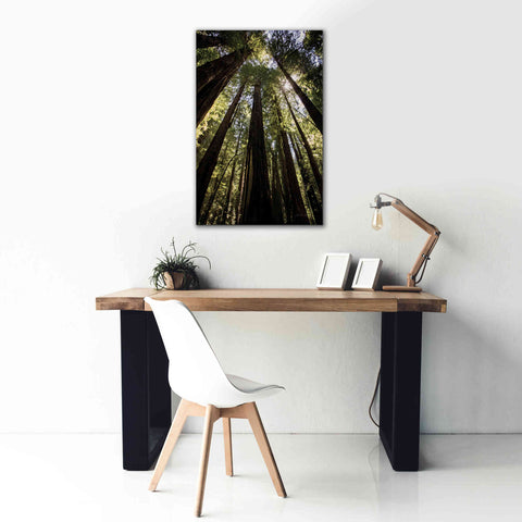 Image of 'The Stand' by Debra Van Swearingen, Canvas Wall Art,26 x 40